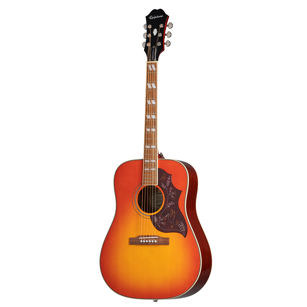 Hummingbird Studio - Solid Top